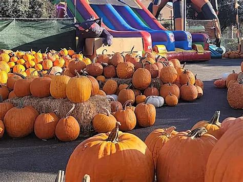 pumpkin patches las vegas 2023